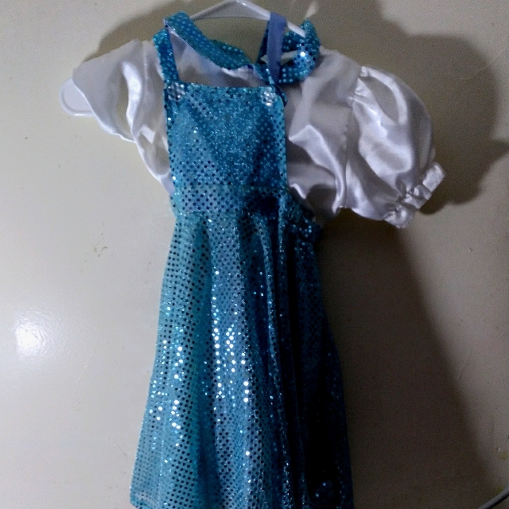 Blue Wizard of Oz Dorothy Costume